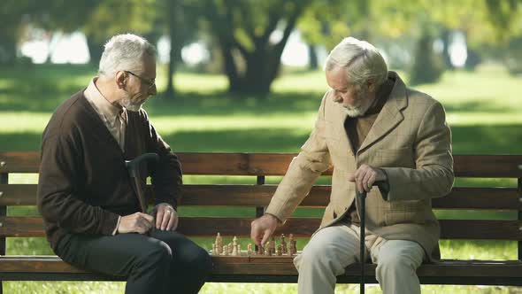 Two Old Friends Sitting on Bench in Park and Remembering Young Years, Memories