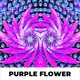Purple Flower - VideoHive Item for Sale