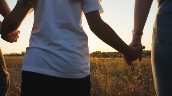 Young Parents and Their Child Go Among Summer Meadow Holding Hands of Each Other