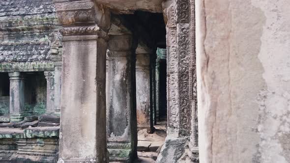 Reveal of Temple and Tree Roots in the Wall