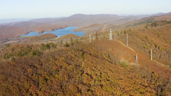 Autumn Forest Among the Hills on a Sunny Day