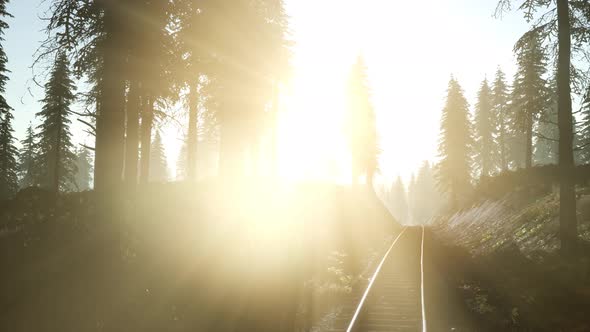 Flight Over Railway alt