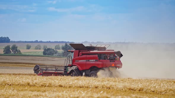 Combine harvesting golden wheat. Landscape view of modern combine harvester in action