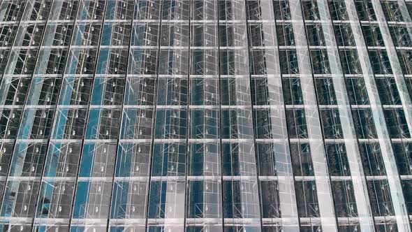 Flying Over the Roof of a Plastic Greenhouse Complex. Growing of Vegetables in Various Weather