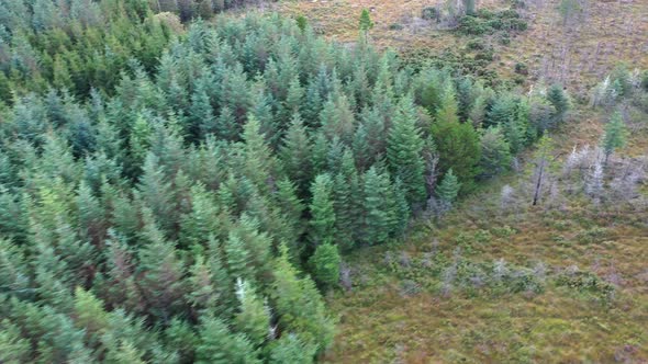 Flying Over Forest in County Donegal - Ireland.