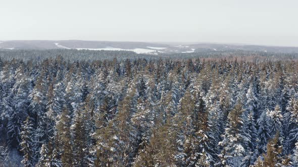 Aerial Winter Wonderland