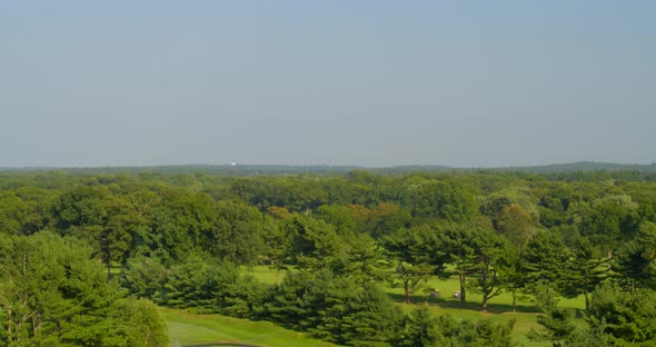 Rising Aerial Pan of Green Trees on a Sunny Day