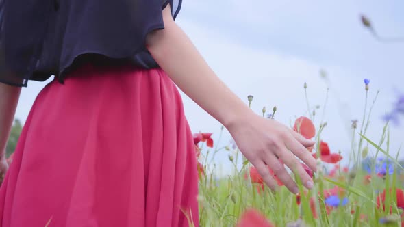 Female Hand Running Through Poppies Field