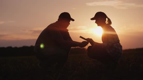 Farmers Work in the Field Until Late. Silhouettes of Man and Woman Farmers