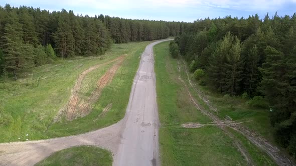 Gray Asphalt Road Surrounded By Green Dense Forest