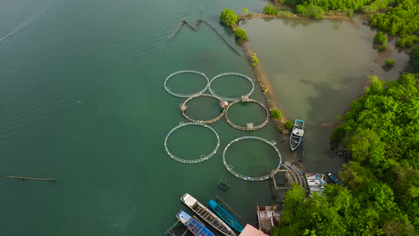 Fisheries on Luzon Island Philippines