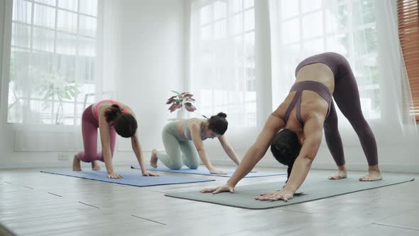 Asian female yoga teacher is teaching students in class basic exercises