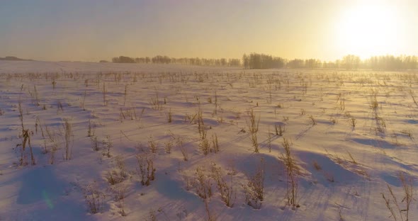 Aerial Drone View of Cold Winter Landscape with Arctic Field, Trees Covered with Frost Snow and