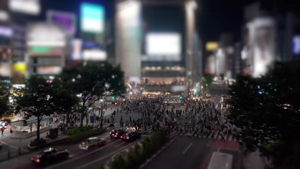 Shibuya Crossing