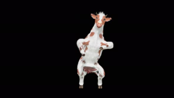 Cow Dance 4K alt