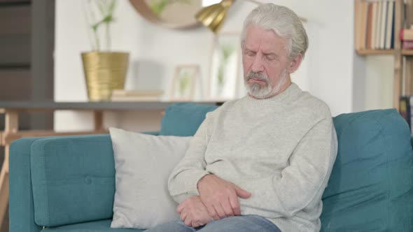 Sleepy Old Man Taking Nap Sitting on Sofa 