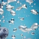 Blueberries Fall Into Water - VideoHive Item for Sale