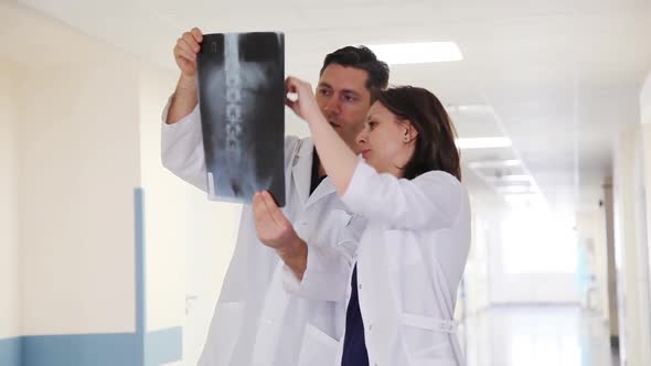 Two Doctors in Clinic's Corridor