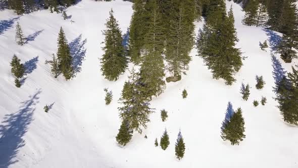 Shot of the beautiful churfirsten in Switzerland.