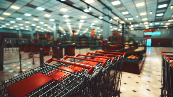 Covid19 Epidemic and Empty Supermarket alt