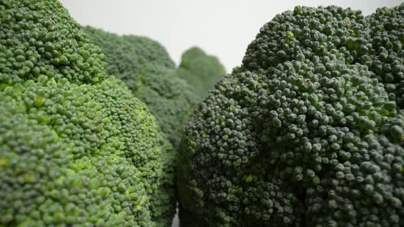 Fresh Green Broccoli 64