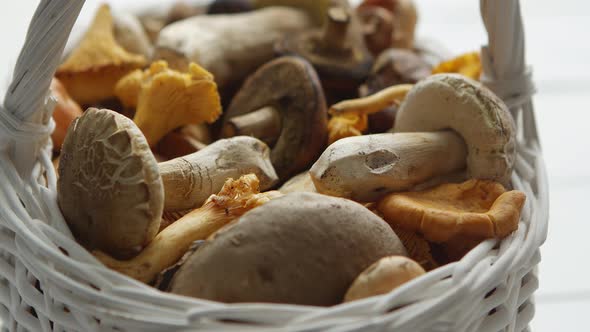 Basket with Different Kind of Forest Mushrooms on a White Wooden Background