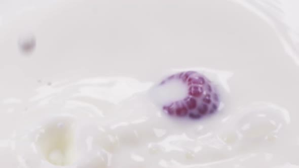 Two Raspberry Falls Into Milk. Slow Motion