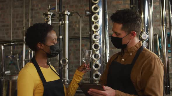 Diverse male and female colleague in face masks at gin distillery checking product, using tablet