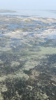 Tanzania  Vertical Video of Low Tide in the Ocean Near the Coast of Zanzibar Slow Motion