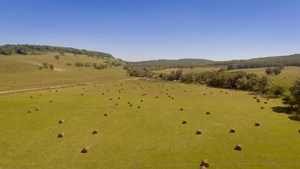 Golden hay bail harvesting in field landscape