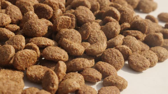 Close-up healthy pet pellets  4K 2160p 30fps UltraHD panning footage - Slow pan on pile of cat or do