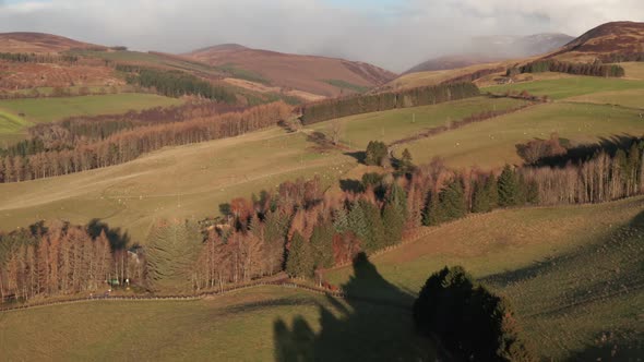 A Vast Moorland With Various Trees Under The Summer Weather In Blair Athol Inside The Cairngorms Nat