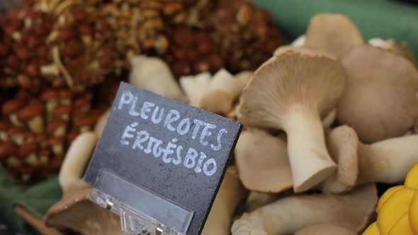 Farmer's Market Selling Home Grown Mushrooms