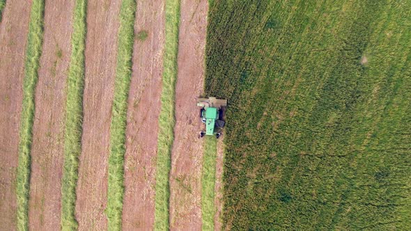 Combine harvester mowing Wheat, Aerial view