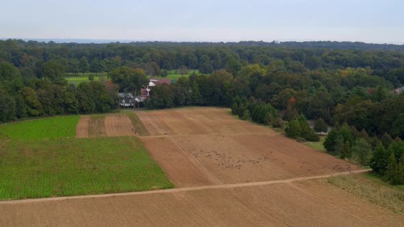 Aerial View of Birds Flying Over Agricultural Fields and Farm Land Near a Park