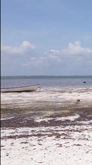 Vertical Video of Low Tide in the Ocean Near the Coast of Zanzibar Tanzania