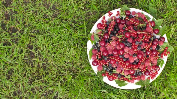 Rotating Bunch of Fresh Raspberries, BlackBerry, Cherry, Red and Black Currant on Green Grass