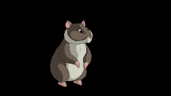 Brown hamster walks alpha matte