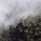 Aerial drone view flying over a forest with clouds - VideoHive Item for Sale