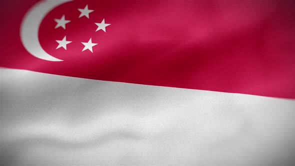 Singapore Flag