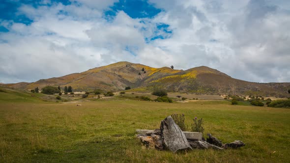 New Zealand rural landscape