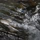 Wild clear mountain river , stream flowing through rocks - VideoHive Item for Sale