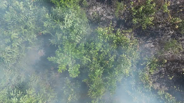 Bush Fire from Above 31