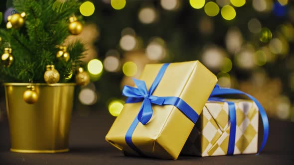 Shot of a Christmas Time Concept. Small Gift Box in Man Hands Near Decorated Tree - Christmas