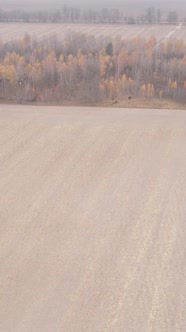 Vertical Video Empty Plowed Field in Autumn Aerial View