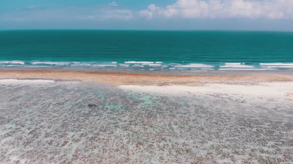 Ocean Coastline and Barrier Reef at Low Tide Zanzibar Matemwe Aerial View