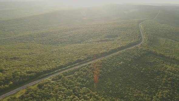 Drone Flight Over an Asphalt Road That Crosses the Green and Magnificent Forest at Sunset