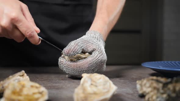 Chef Opens Oyster with Special Short Knife in Brightly Lit Kitchen of Luxury Restaurant