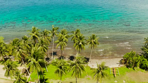 Landscape with Coconut Trees and Turquoise Lagoon