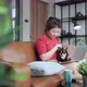 asian female working hand typing laptop with black chihuahua dog on sofa together - VideoHive Item for Sale